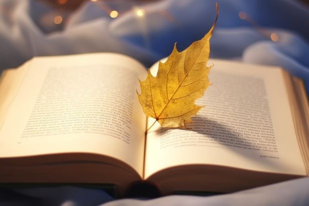 娄底楚怡职业学校排名第几 娄底楚怡职业学校学费多少