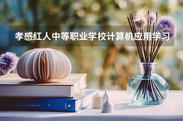 孝感红人中等职业学校计算机应用学习课程以及专业能力有哪些
