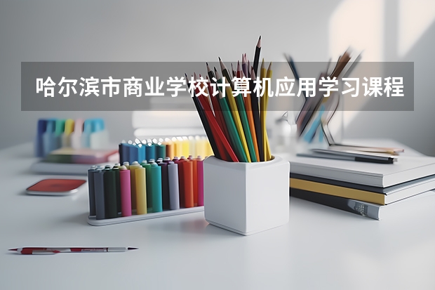 哈尔滨市商业学校计算机应用学习课程以及专业能力有哪些