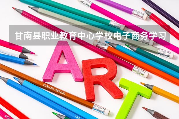 甘南县职业教育中心学校电子商务学习课程以及专业能力有哪些