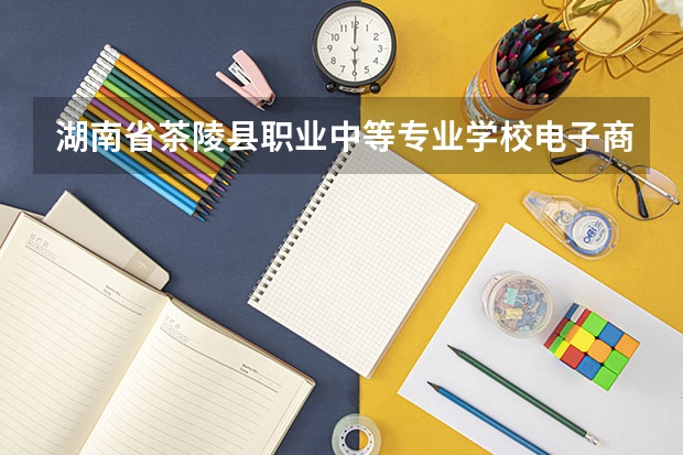 湖南省茶陵县职业中等专业学校电子商务学习课程以及专业能力有哪些