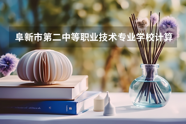 阜新市第二中等职业技术专业学校计算机应用学习课程以及专业能力有哪些