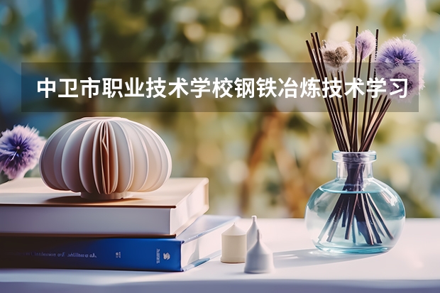 中卫市职业技术学校钢铁冶炼技术学习课程以及专业能力有哪些