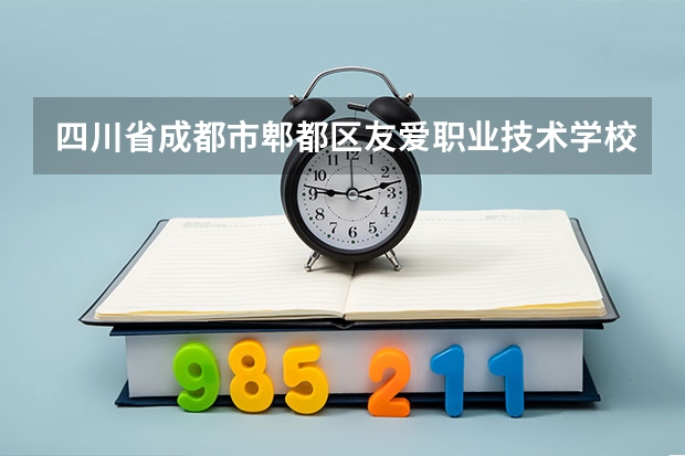 四川省成都市郫都区友爱职业技术学校计算机应用学习课程以及专业能力有哪些