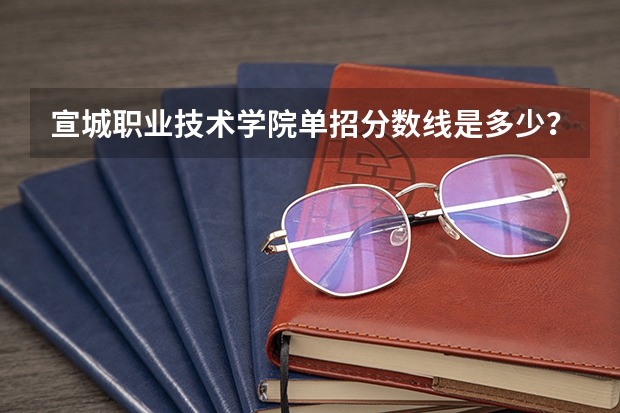 宣城职业技术学院单招分数线是多少？