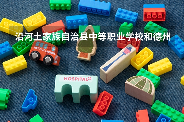 沿河土家族自治县中等职业学校和德州信息工程中等专业学校 综合对比哪个好