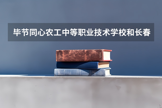 毕节同心农工中等职业技术学校和长春精城航空服务中等职业学校 综合对比哪个好