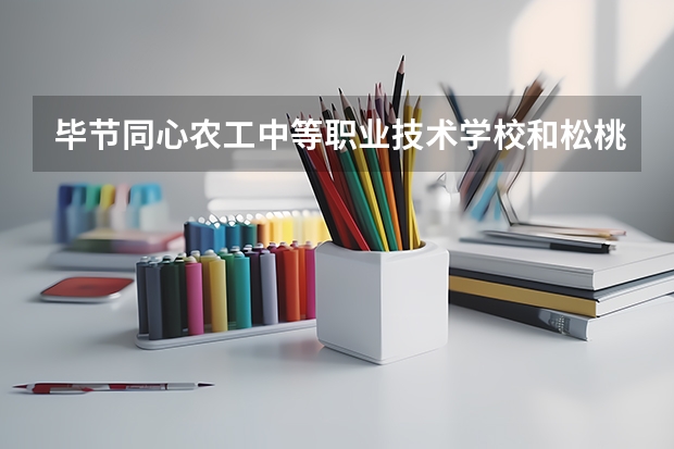 毕节同心农工中等职业技术学校和松桃苗族自治县中等职业学校 综合对比哪个好