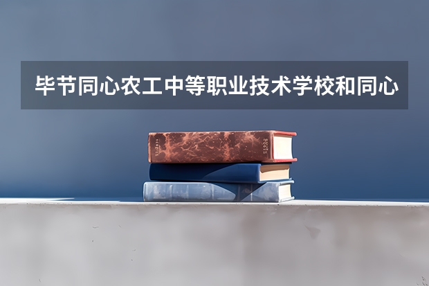 毕节同心农工中等职业技术学校和同心县职业技术学校 综合对比哪个好