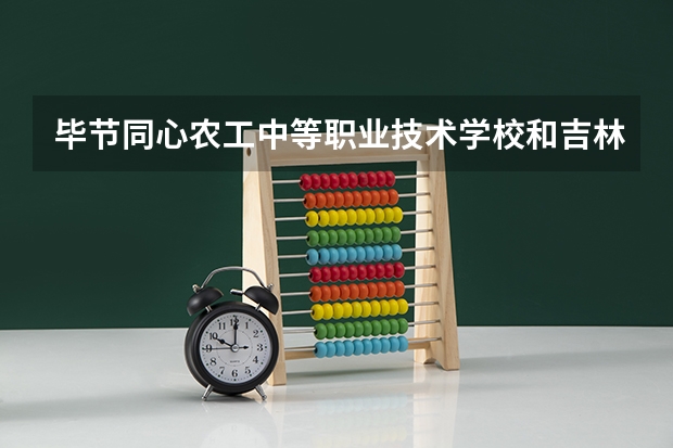 毕节同心农工中等职业技术学校和吉林省残疾人中等职业学校 综合对比哪个好