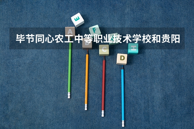 毕节同心农工中等职业技术学校和贵阳幼儿师范高等专科学校（中职部） 综合对比哪个好