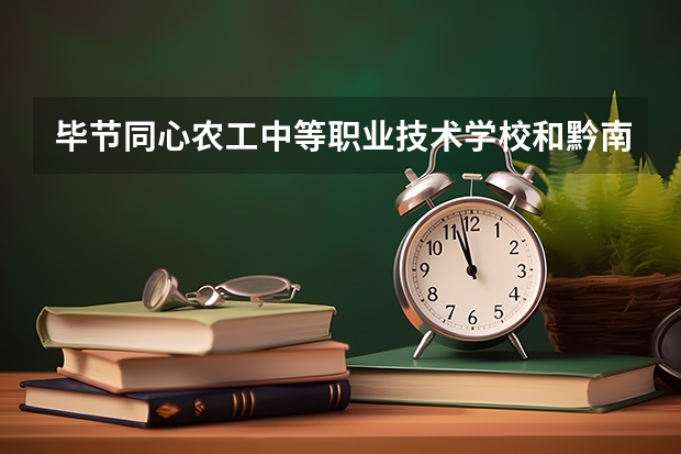 毕节同心农工中等职业技术学校和黔南民族职业技术学院（中职部） 综合对比哪个好