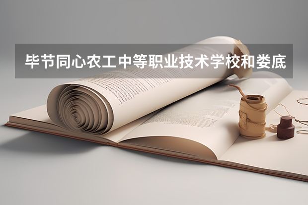毕节同心农工中等职业技术学校和娄底楚怡职业学校 综合对比哪个好