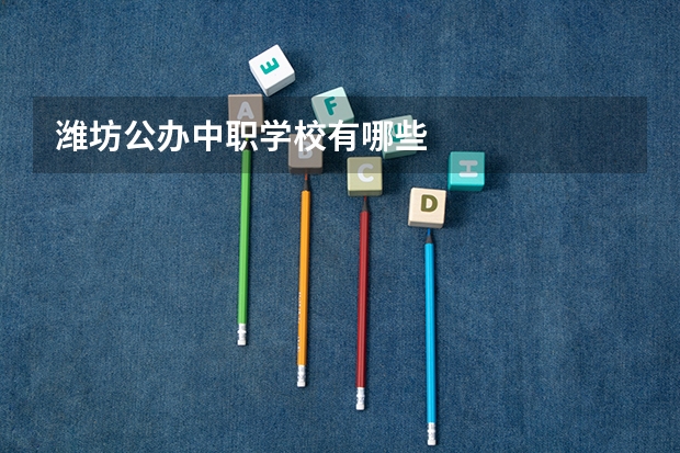 潍坊公办中职学校有哪些