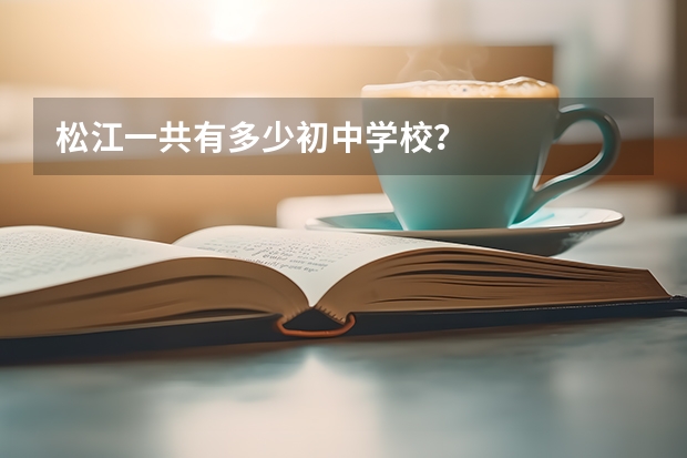 松江一共有多少初中学校？