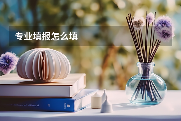 专业填报怎么填