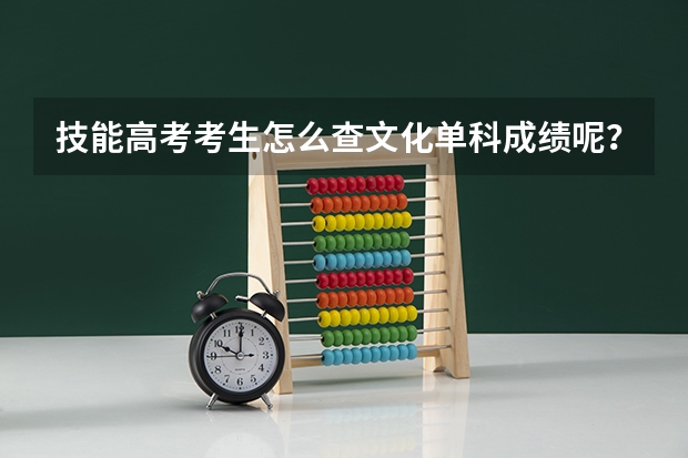 技能高考考生怎么查文化单科成绩呢？