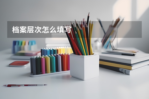 档案层次怎么填写