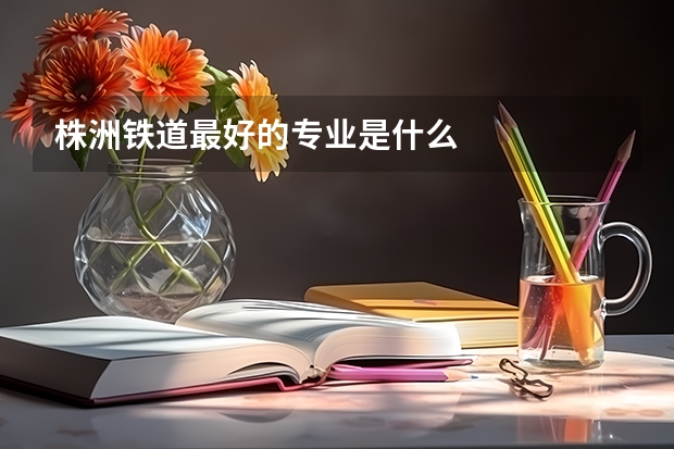 株洲铁道最好的专业是什么