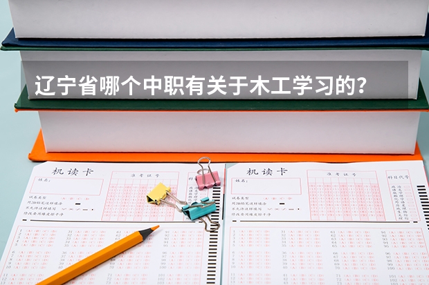 辽宁省哪个中职有关于木工学习的？
