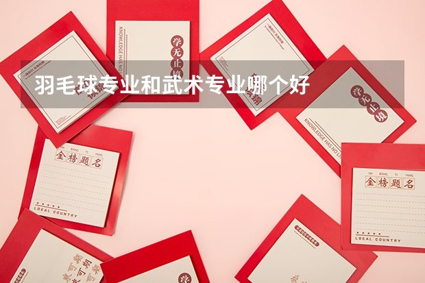 羽毛球专业和武术专业哪个好