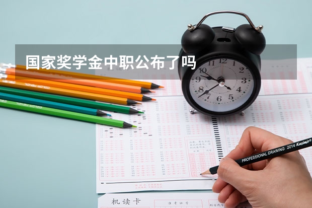 国家奖学金中职公布了吗
