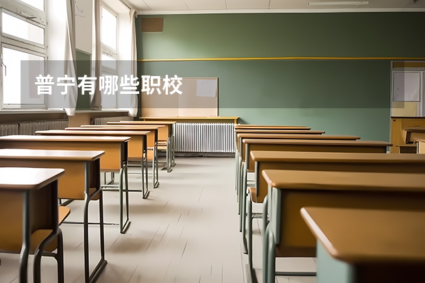 普宁有哪些职校