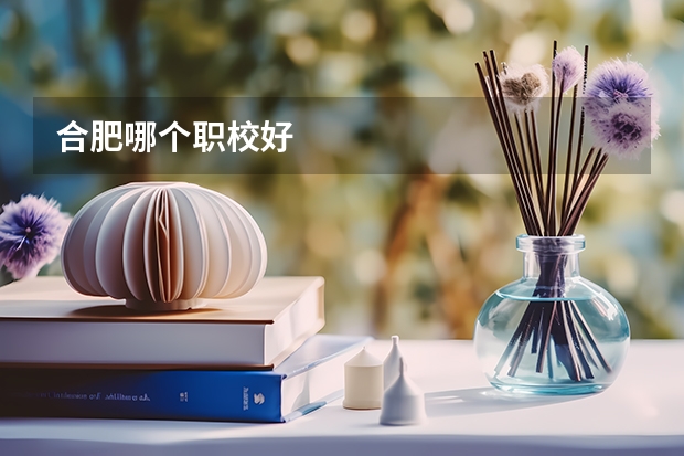 合肥哪个职校好