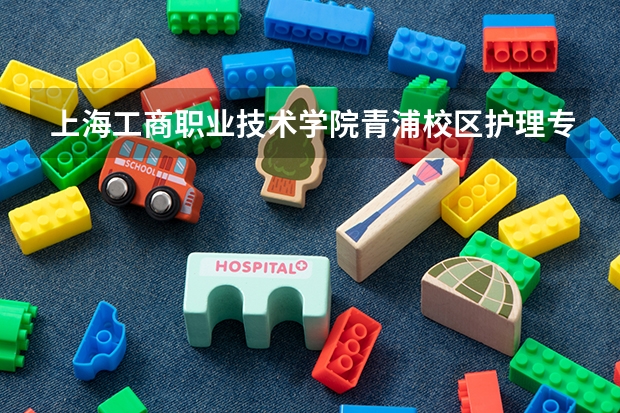 上海工商职业技术学院青浦校区护理专业怎么样