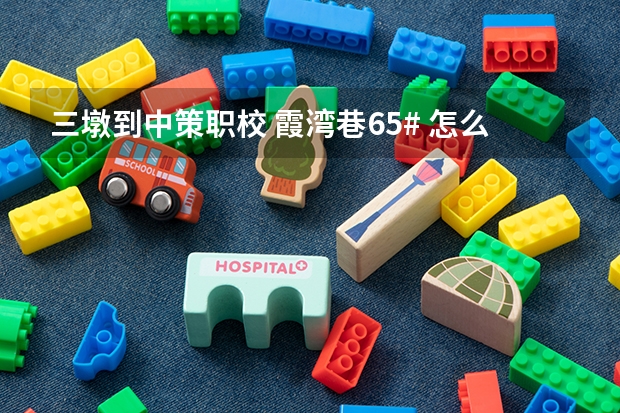 三墩到中策职校 霞湾巷65# 怎么走