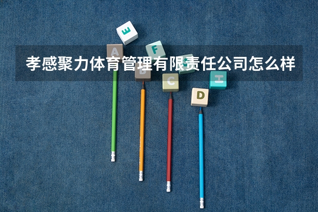 孝感聚力体育管理有限责任公司怎么样?