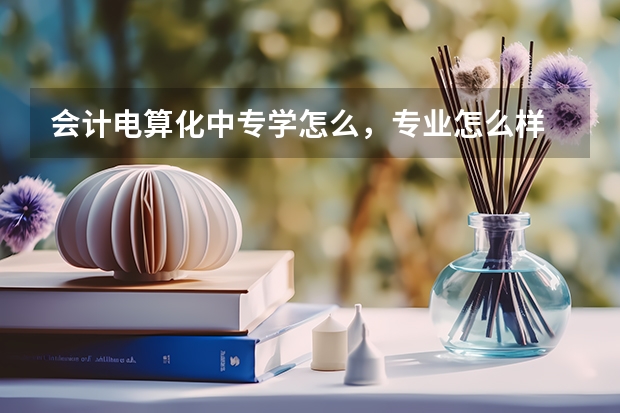 会计电算化中专学怎么，专业怎么样