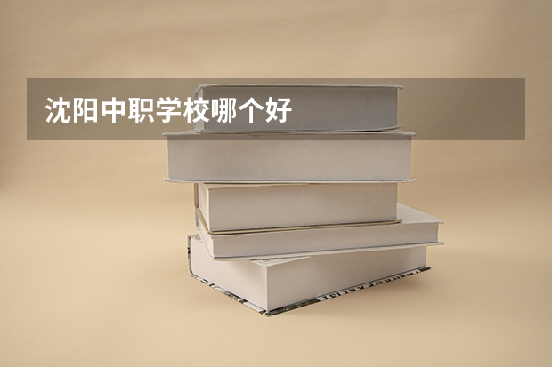 沈阳中职学校哪个好
