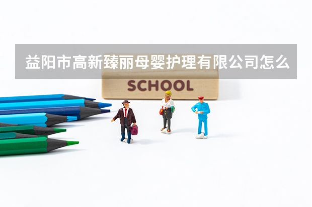 益阳市高新臻丽母婴护理有限公司怎么样?