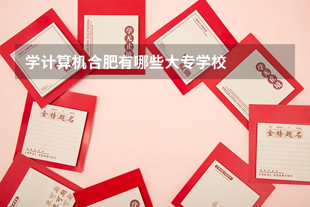 学计算机合肥有哪些大专学校