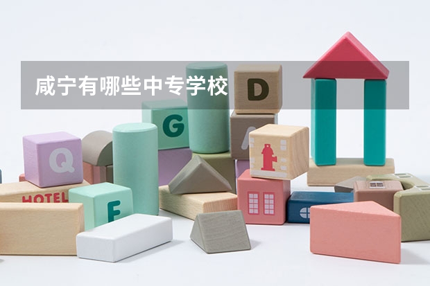 咸宁有哪些中专学校