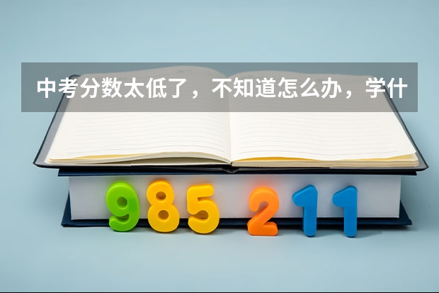 中考分数太低了，不知道怎么办，学什么好？
