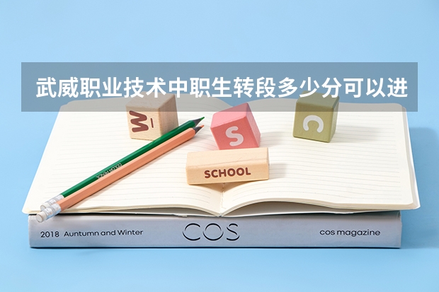 武威职业技术中职生转段多少分可以进