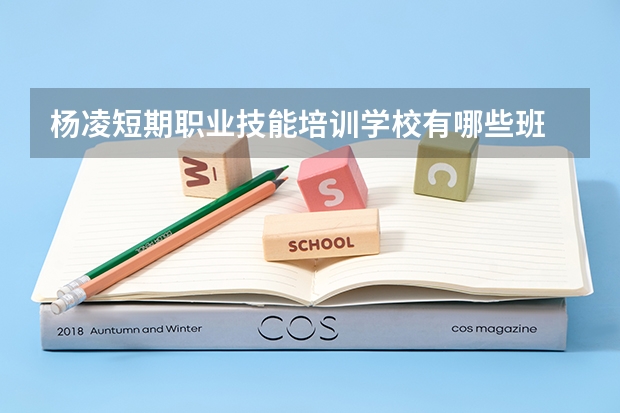 杨凌短期职业技能培训学校有哪些班