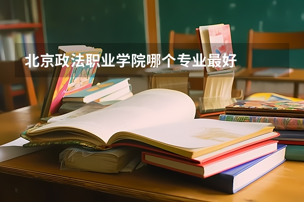 北京政法职业学院哪个专业最好