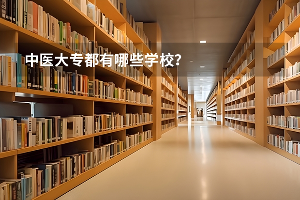 中医大专都有哪些学校？