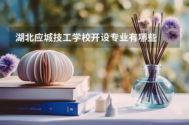 湖北应城技工学校开设专业有哪些