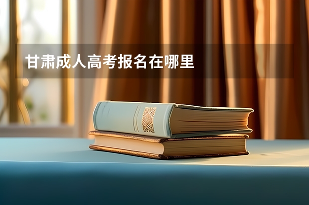 甘肃成人高考报名在哪里