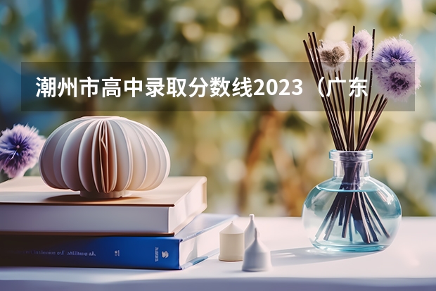 潮州市高中录取分数线2023（广东潮州卫生健康职业学院护理专业分数线）