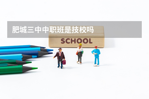 肥城三中中职班是技校吗