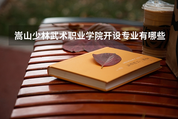 嵩山少林武术职业学院开设专业有哪些