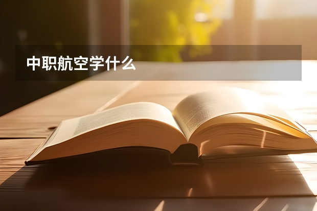 中职航空学什么
