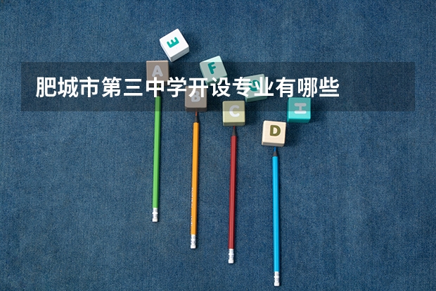 肥城市第三中学开设专业有哪些