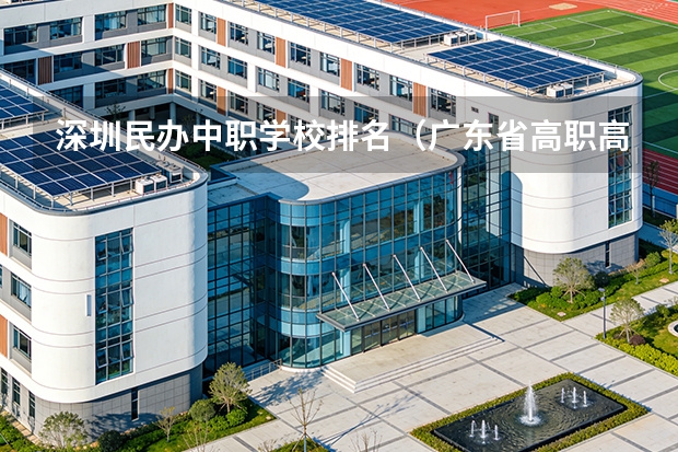 深圳民办中职学校排名（广东省高职高考院校排名）