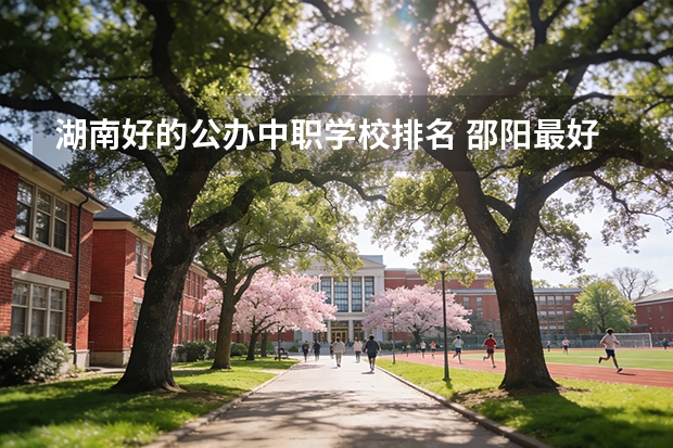 湖南好的公办中职学校排名 邵阳最好的三个职校